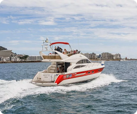 Boat Tours &Yacht Rentals--Scenic water tours and private yacht experiences.