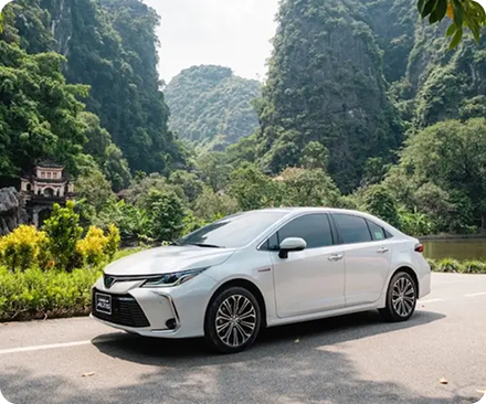 Private Car Rentals – Rent a luxury or standard vehicle with/without a driver.